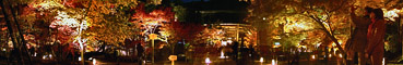 本堂と紅葉ライトアップのパノラマ夜景写真