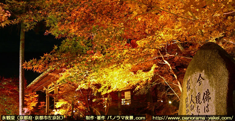 永観堂禅林寺・夜間特別拝観 紅葉ライトアップ ～今様碑と紅葉ライトアップのパノラマ夜景写真～