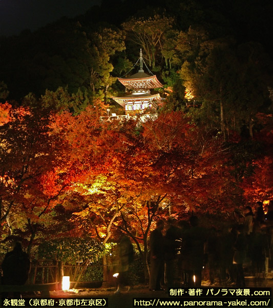 永観堂禅林寺・夜間特別拝観 紅葉ライトアップ ～多宝塔と紅葉ライトアップのパノラマ夜景写真（1）～