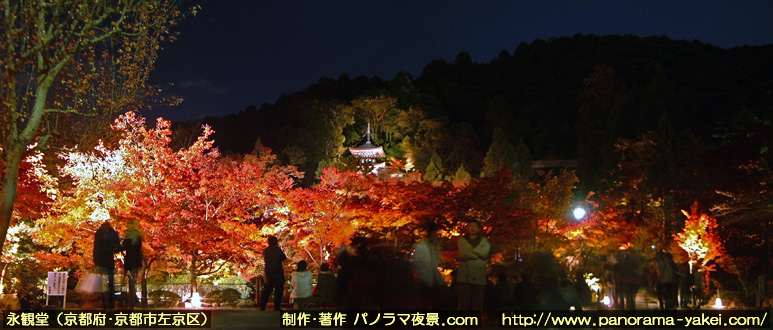 永観堂禅林寺・夜間特別拝観 紅葉ライトアップ ～多宝塔と紅葉ライトアップのパノラマ夜景写真（2）～